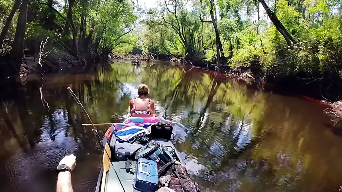 A narrow tea-dark run on the Alapaha