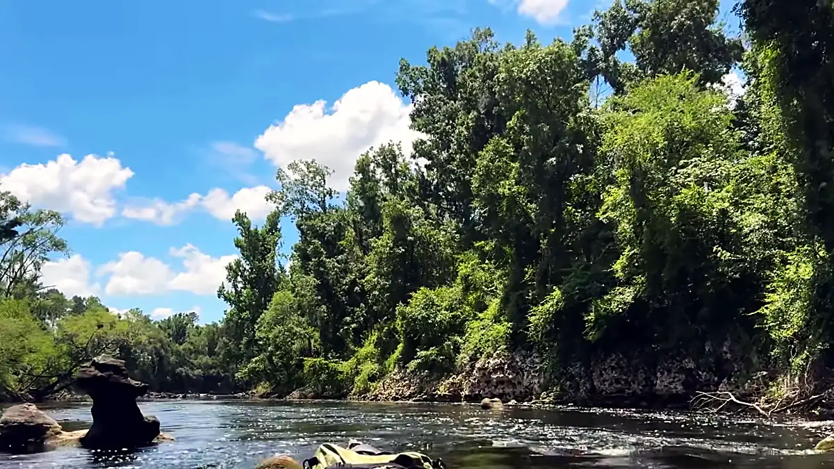 Limestone shoals in the clear Withlacoochee
