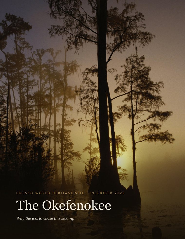 Cover of The Okefenokee: Why the World Chose This Swamp, showing sunrise through cypress in the swamp