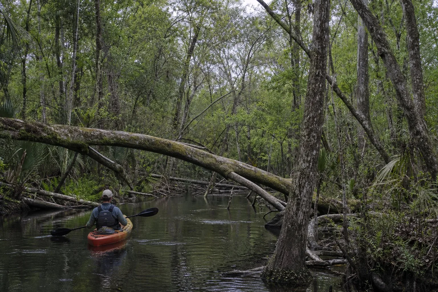 Alapahoochee River