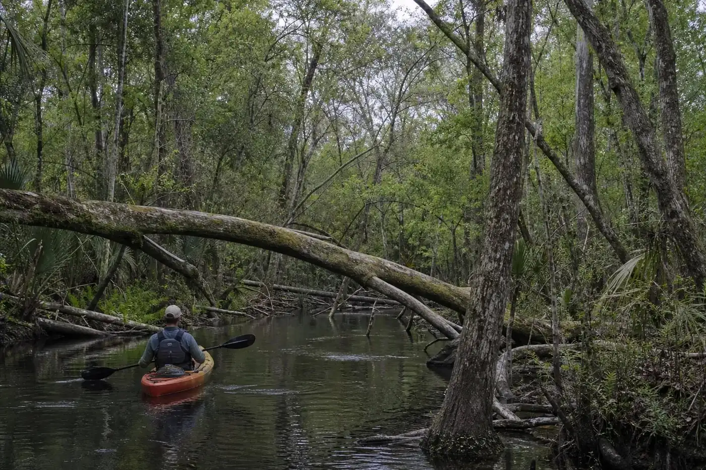 Alapahoochee River
