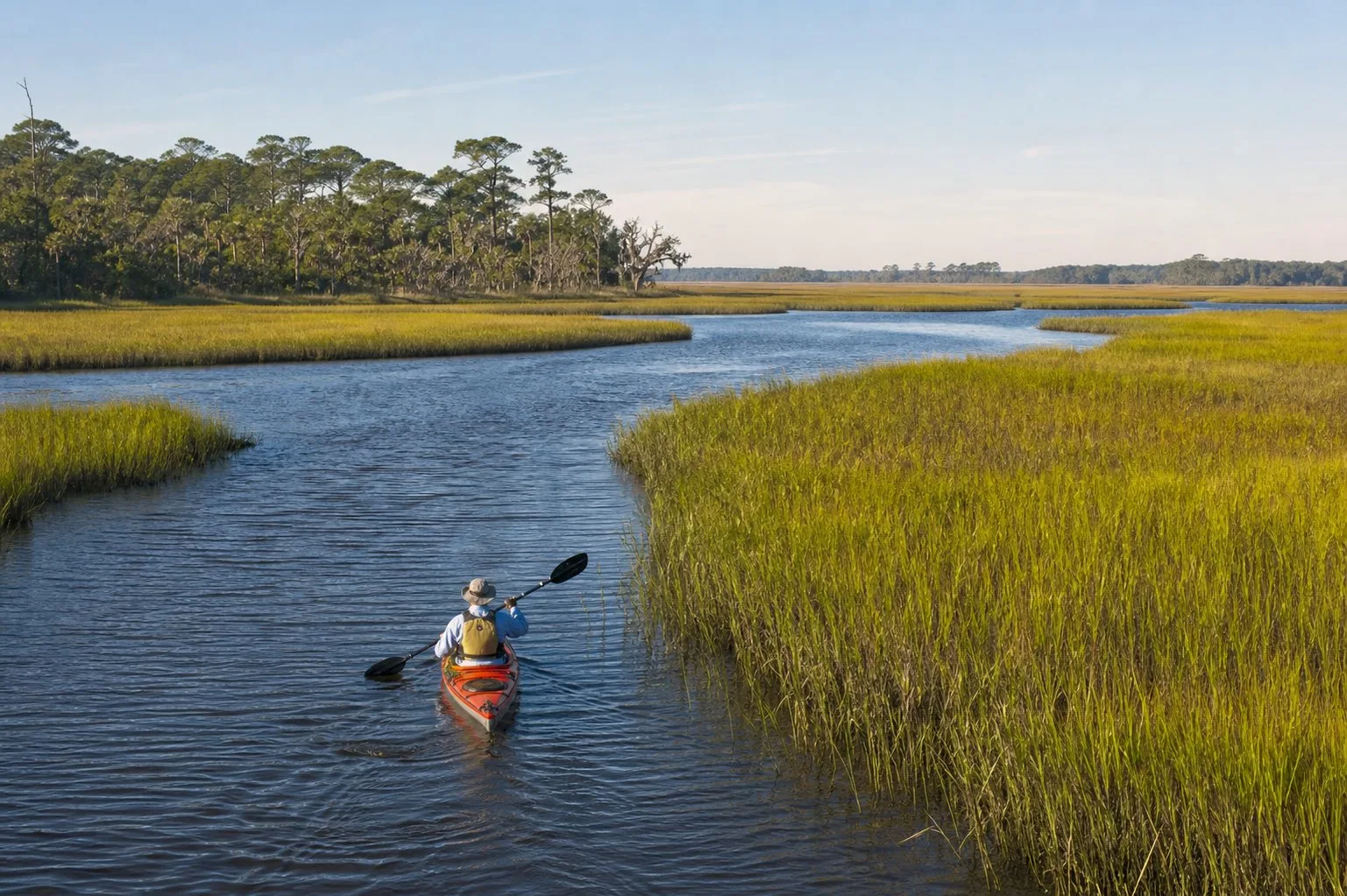 Coastal Salt Marsh