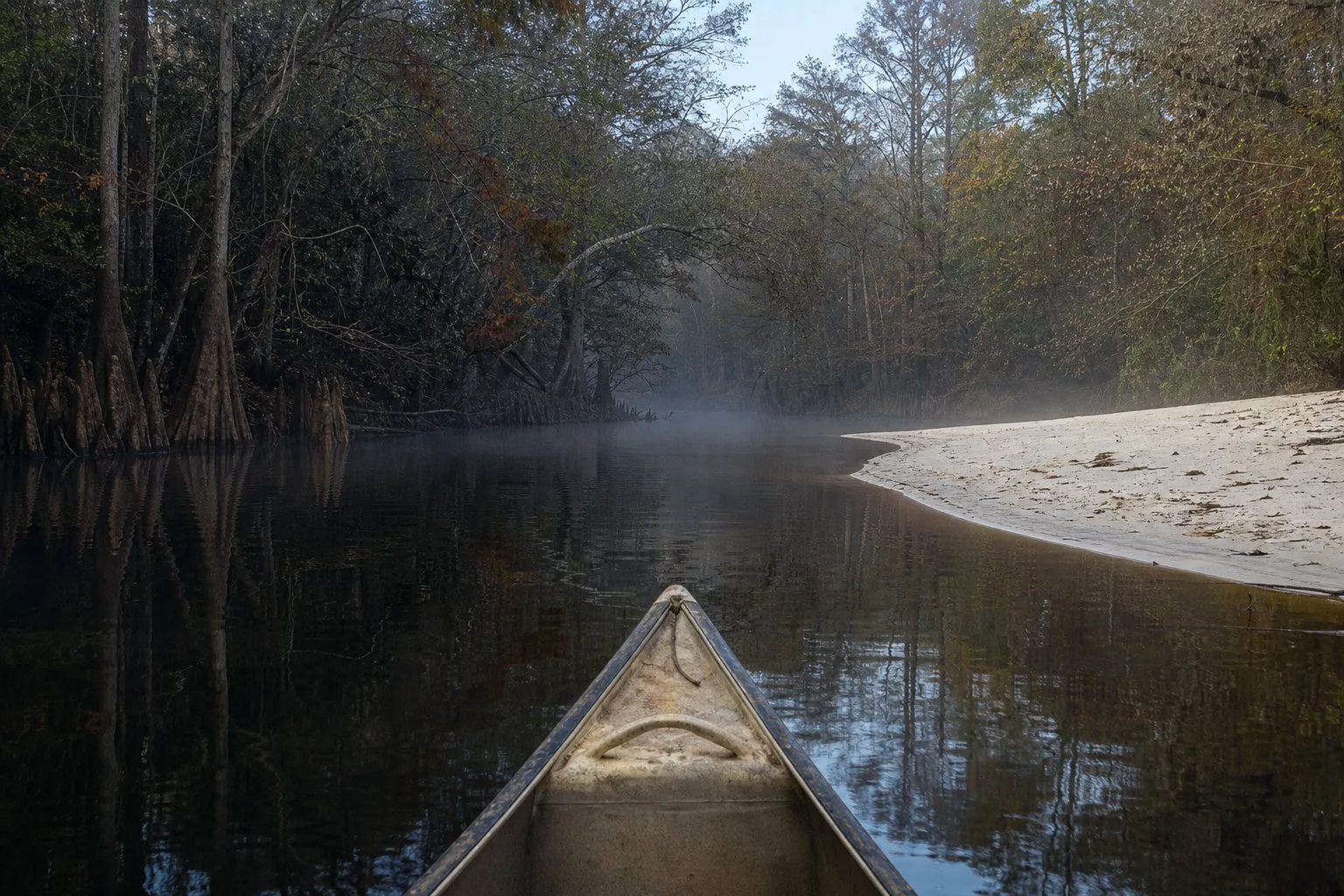 Blackwater Paddler's Guide, 2nd Edition cover