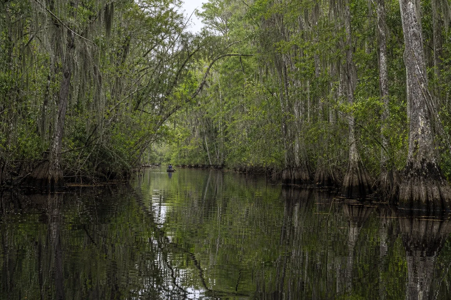 Ebenezer Creek