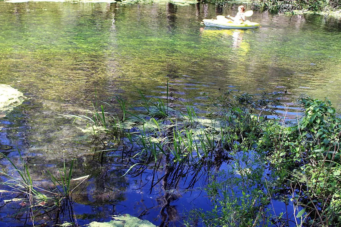 Florida Spring Runs