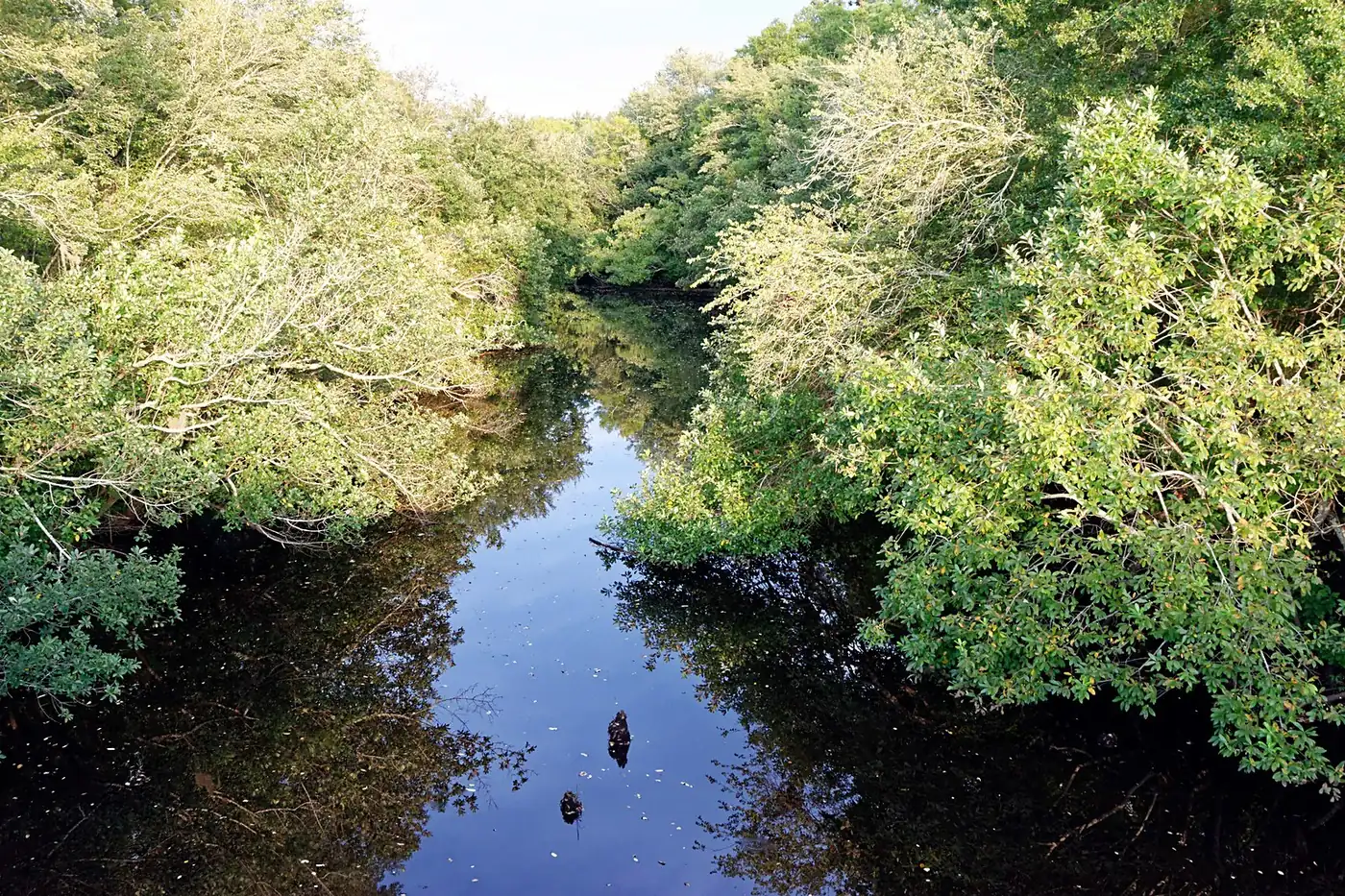 Little Satilla River