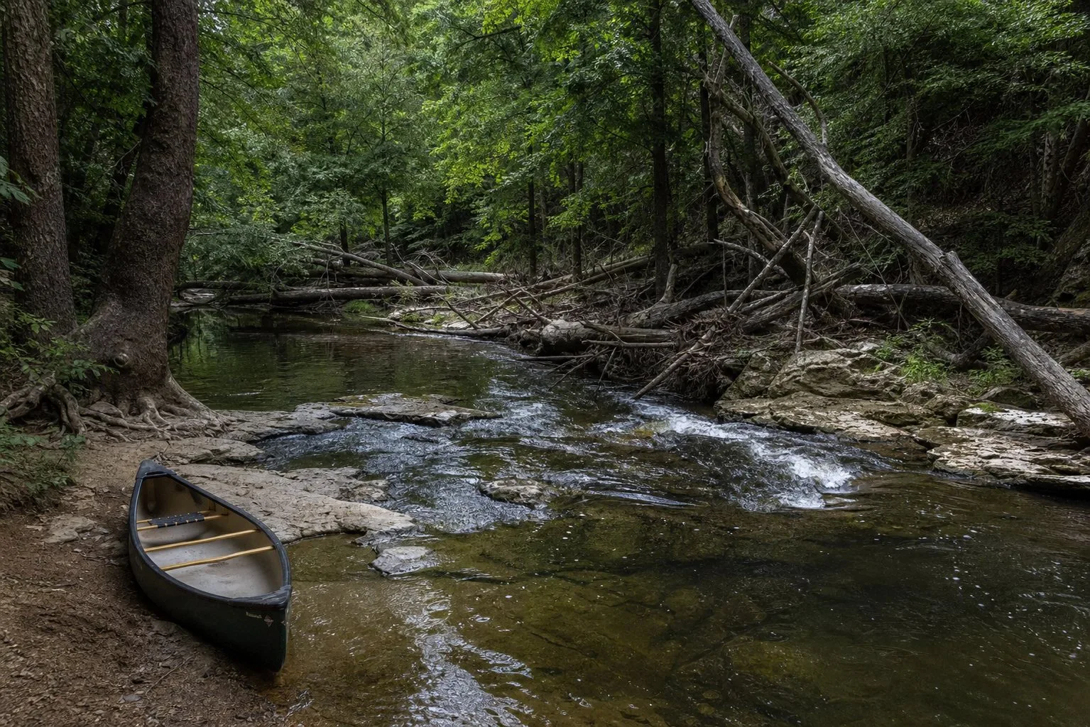 Olustee Creek
