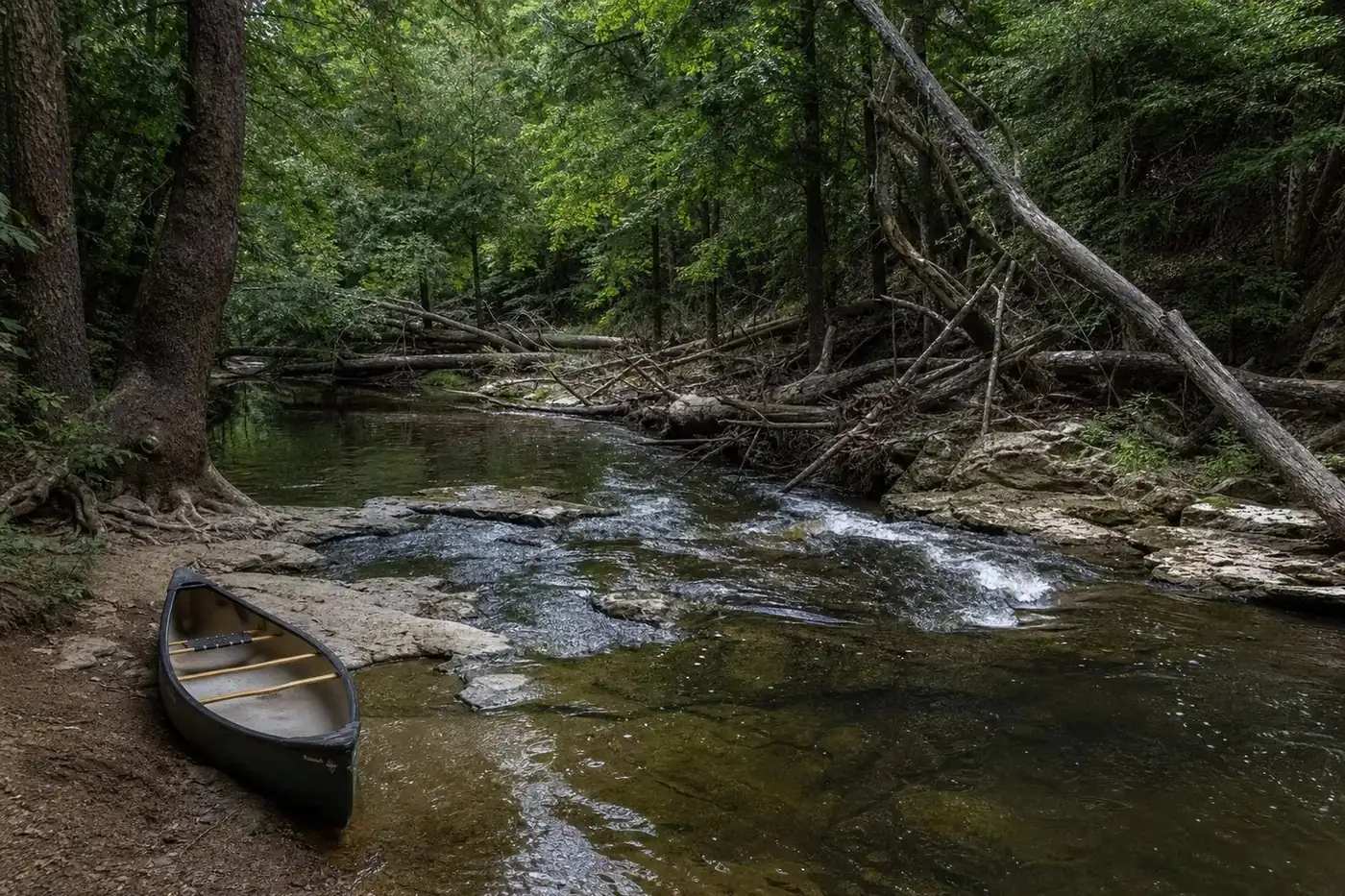Olustee Creek