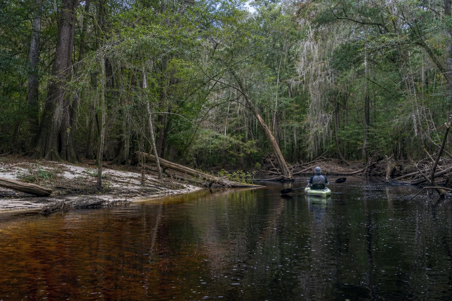 Canoe on a Georgia blackwater river