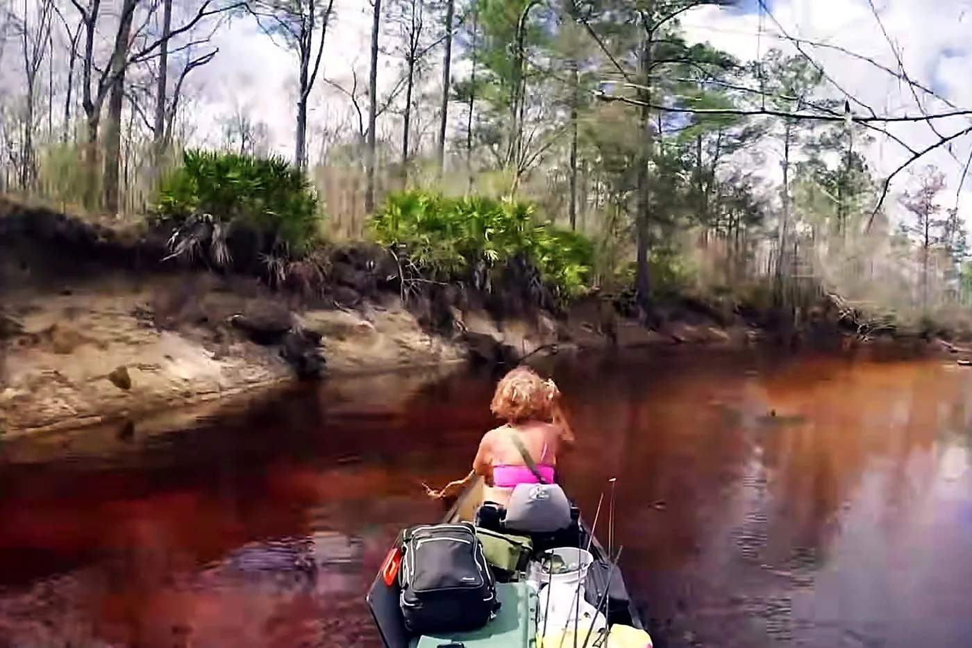 Satilla River