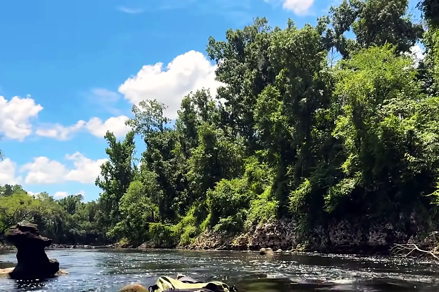 Withlacoochee River (South GA / North FL)